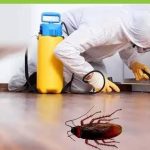 شركة مكافحة الصراصير الأولى: القضاء على الصراصير من أول زيارة بالجل والرش الموضعي، معاينة مجانية ومبيدات آمنة بدون رائحة وضمان مكتوب 6 شهور.